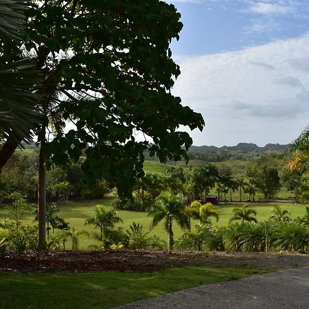 Hotel Hacienda Agroturistico Vista Hermosa Camuy Luaran gambar