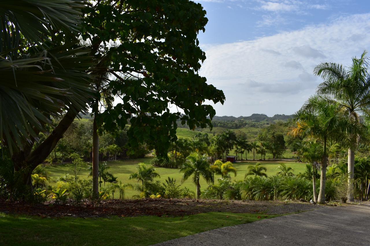 Hotel Hacienda Agroturistico Vista Hermosa Camuy Luaran gambar
